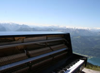 shake the lake - piano on top